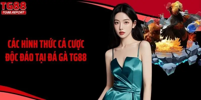 Các hình thức cá cược độc đáo tại đá gà TG88
