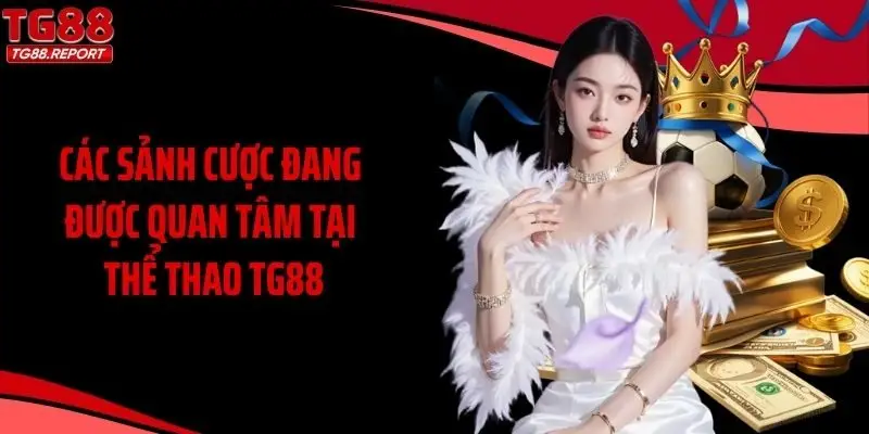 Các sảnh cược đang được quan tâm tại thể thao TG88