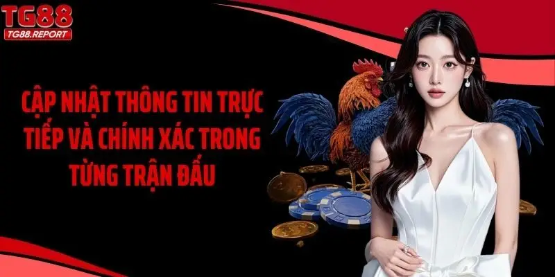 Cập nhật thông tin trực tiếp và chính xác trong từng trận đấu