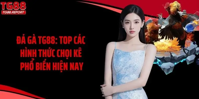 Đá Gà TG88: Top Các Hình Thức Chọi Kê Phổ Biến Hiện Nay
