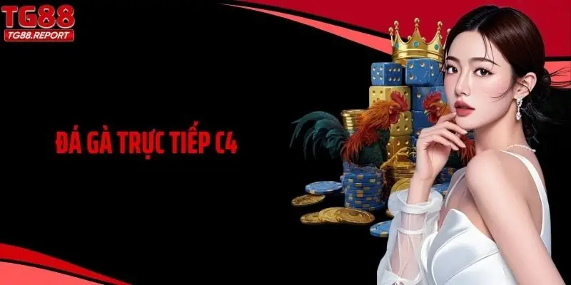 Đá Gà Trực Tiếp C4 - Theo Dõi Trọn Vẹn, Kịch Tính Từng Phút