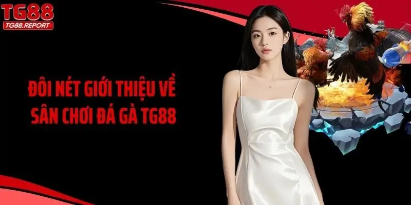 Đôi nét giới thiệu về sân chơi đá gà TG88