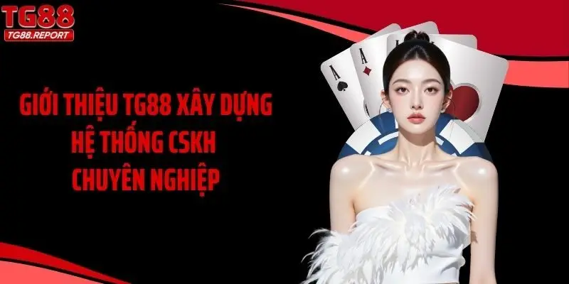 Giới thiệu TG88 xây dựng hệ thống CSKH chuyên nghiệp
