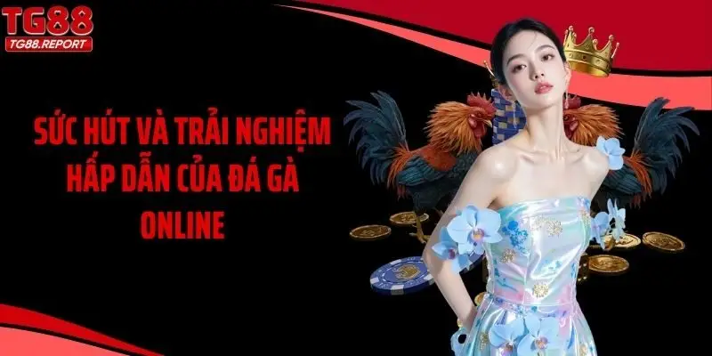 Sức hút và trải nghiệm hấp dẫn của đá gà online