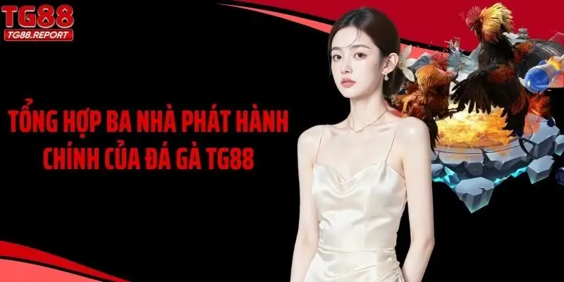 Tổng hợp ba nhà phát hành chính của đá gà TG88